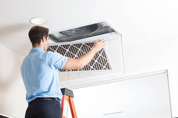 Best HVAC installation services  in Temple Terrace, FL